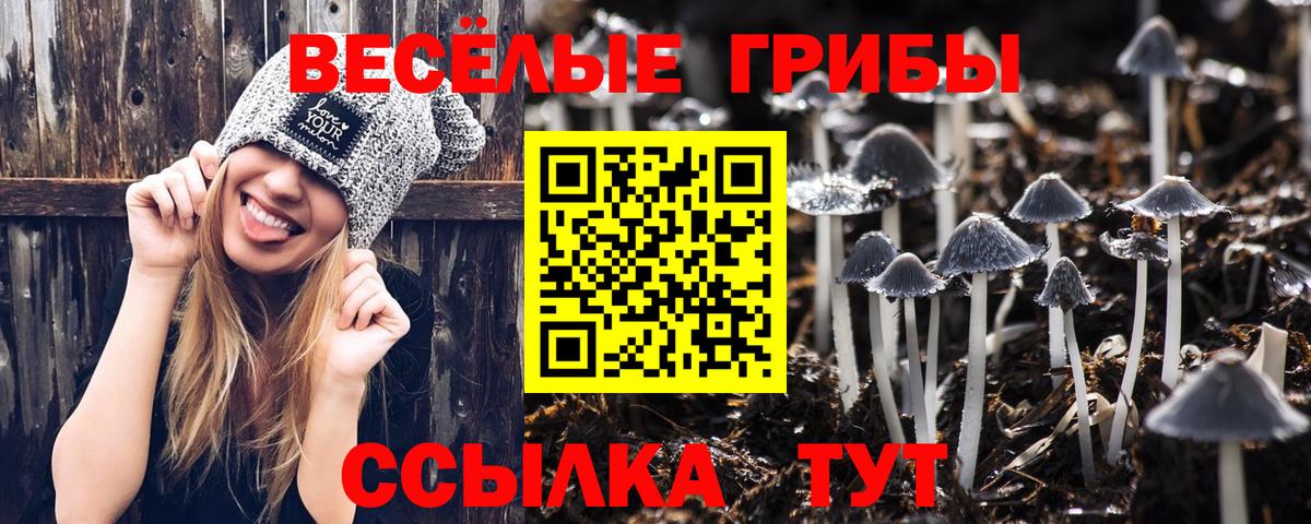 Галлюциногенные грибы MAGIC MUSHROOMS Славгород