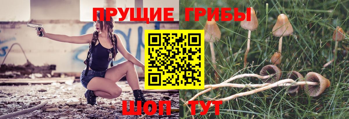 Галлюциногенные грибы MAGIC MUSHROOMS  Галлюциногенные грибы Cubensis  Славгород  Вход с VPN 